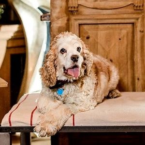 Meet your Posher, Lori